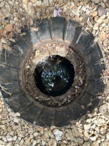 Septic Tank Pumping Anthony Septic Riser Opening Inspection Anthony NM