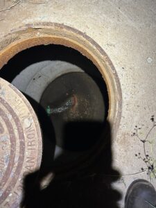 Septic System Service Call & Diagnostic at Padre La Rue St, Organ, NM