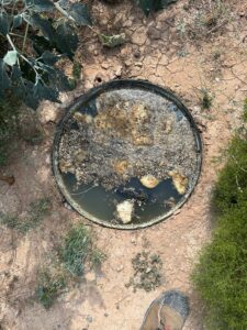 Septic Tank Pumping at Buckhorn St, Canutillo, TX
