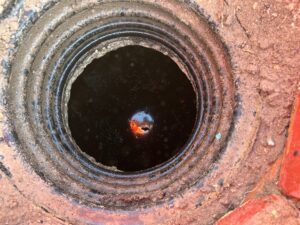 Septic Tank Pumping at Caballero Ln, San Elizario, TX