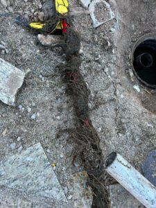 Septic Tank Pumping at Gary Lee, El Paso, TX Septic Tank Pumping at Gary Lee, El Paso, TX