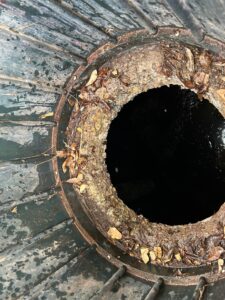 Septic Tank Pumping at Rancho Sereno Pl, El Paso, TX