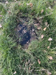 Septic Tank Pumping at Rusty Bucket Ct, El Paso, TX