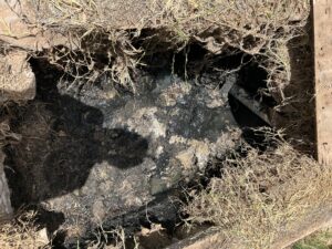Septic Tank Pumping at Washington St, Anthony, NM